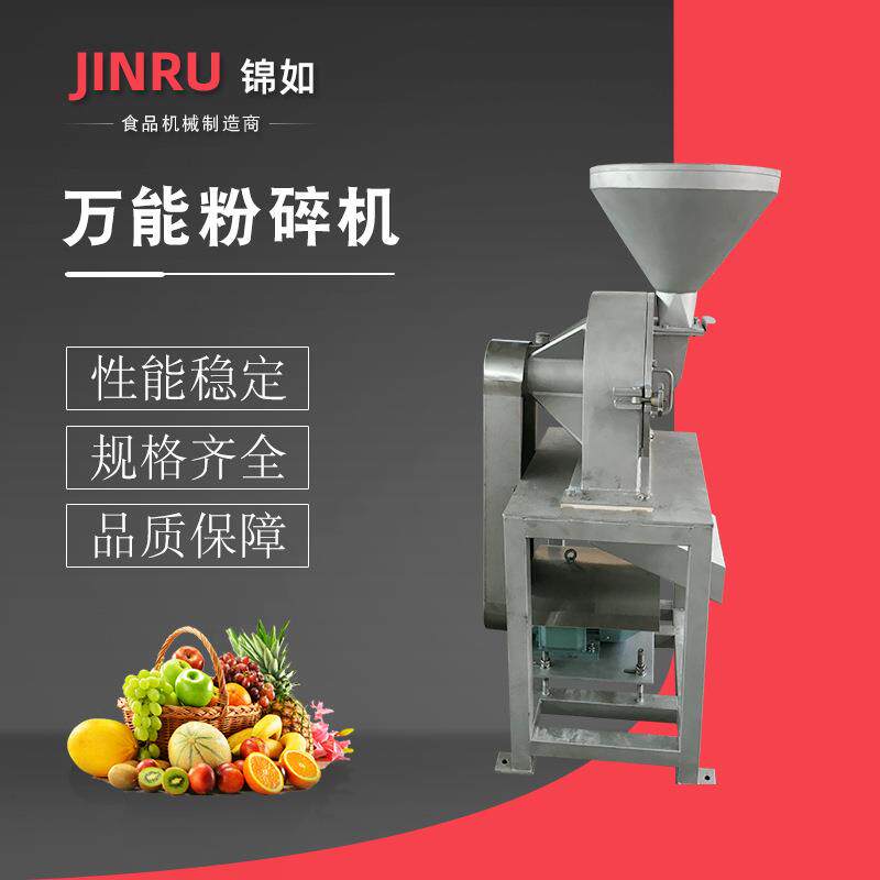 万能粉碎机商用果蔬榨汁加工设备大型冲浪洗果机