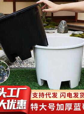 特大号蓝莓塑料花盆圆形青山侧排孔控根盆加厚绿植花卉呼吸种植盆