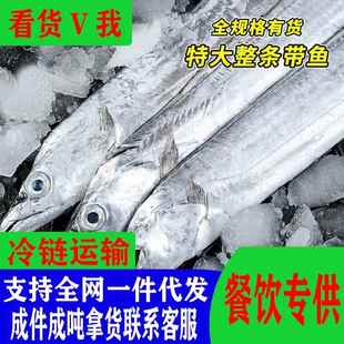 5斤特大带鱼段商用超大带鱼整箱带鱼段中段无冰海鲜整箱