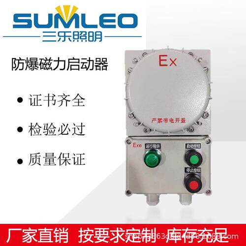 防爆磁力启动器风机水泵三相电机控制箱220V380V控制箱按钮箱16A