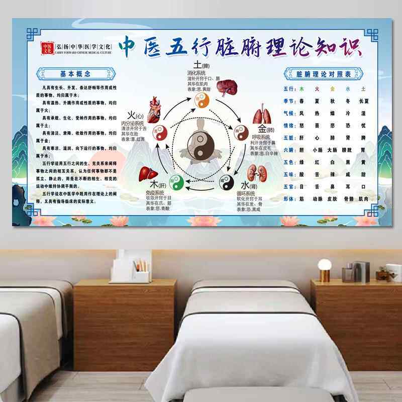 中医脏腑理论对照表墙贴人体五脏六腑挂图中医五行养生海报宣传画