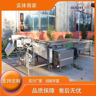 全自动气泡清洗机叶类蔬菜清洗机预制菜设备果蔬清洗机