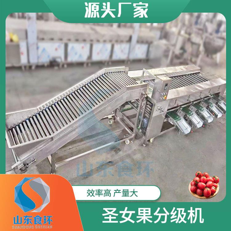 滚杠式不伤果分级机果蔬大小速分选机樱桃车厘子大小分选机