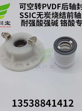 大头泵可空转PVDF氟塑料前后轴封铁氟龙机封自吸泵SSIC前轴封WB3-