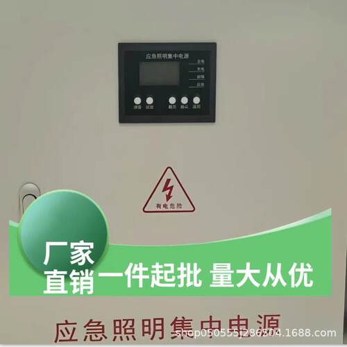 A型集中应急照明电源1KVA60分钟到90厂家配电箱配电柜