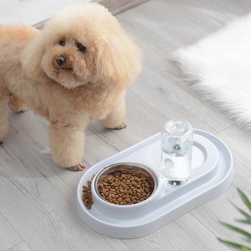 新款直销椭圆形猫碗双碗喝水猫食盆宠物狗碗猫咪自动饮水不湿嘴水
