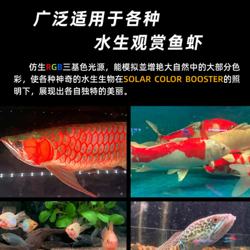 尼奥SOLAR雷龙鱼专用灯日光发色灯防水灯LED鱼缸灯金鱼增艳增色