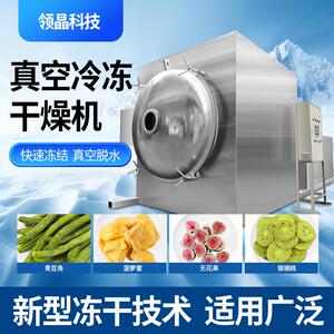 领创冻干机加工大型真空冷冻干燥机设备中药水果蔬菜宠物商用