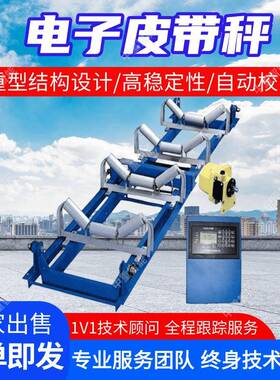 矿用电子皮带秤 抗振动矿用电子皮带秤 ICS-17JS矿用电子皮带秤