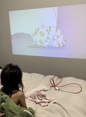 哈奇光屏m1投影仪优缺点评测真实诉说,不吹不黑买前必看