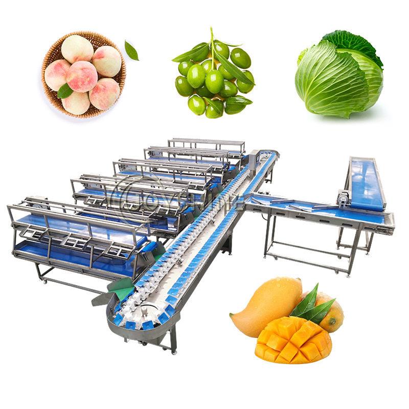 称重分选机果蔬重量分选机全自动果蔬分选机智能效便捷食品级
