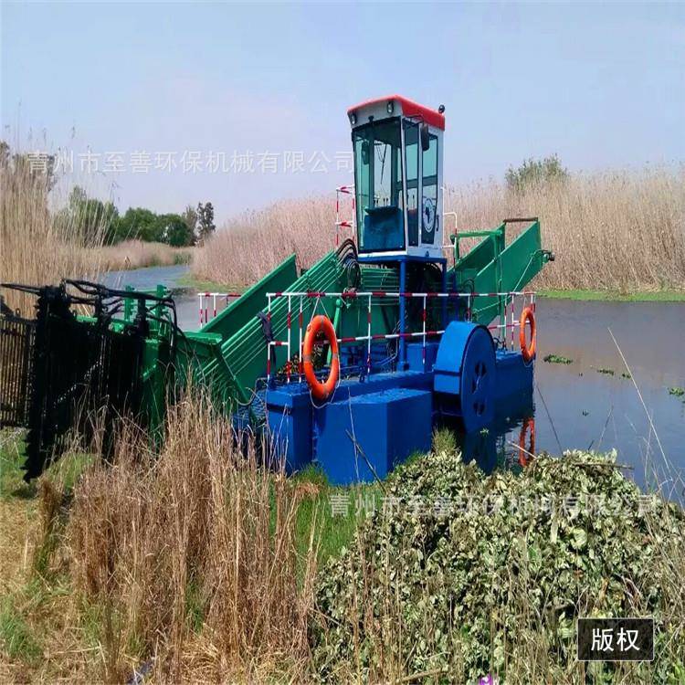江苏泰州水浮莲打捞船河道水葫芦收割船全自动割草垃圾打捞船