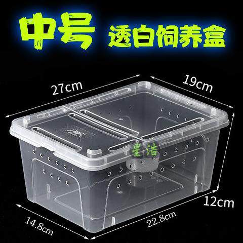蚕宝宝饲养箱中号爬宠饲养盒角蛙蜘蛛蜥蜴仓鼠豹纹守宫塑料盒学生