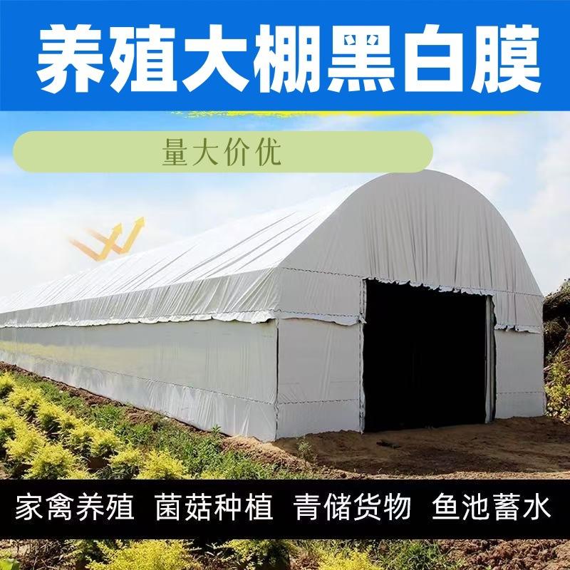 黑白膜防晒隔热保温膜加厚养鸡大棚养殖种植养殖大棚膜黑白膜