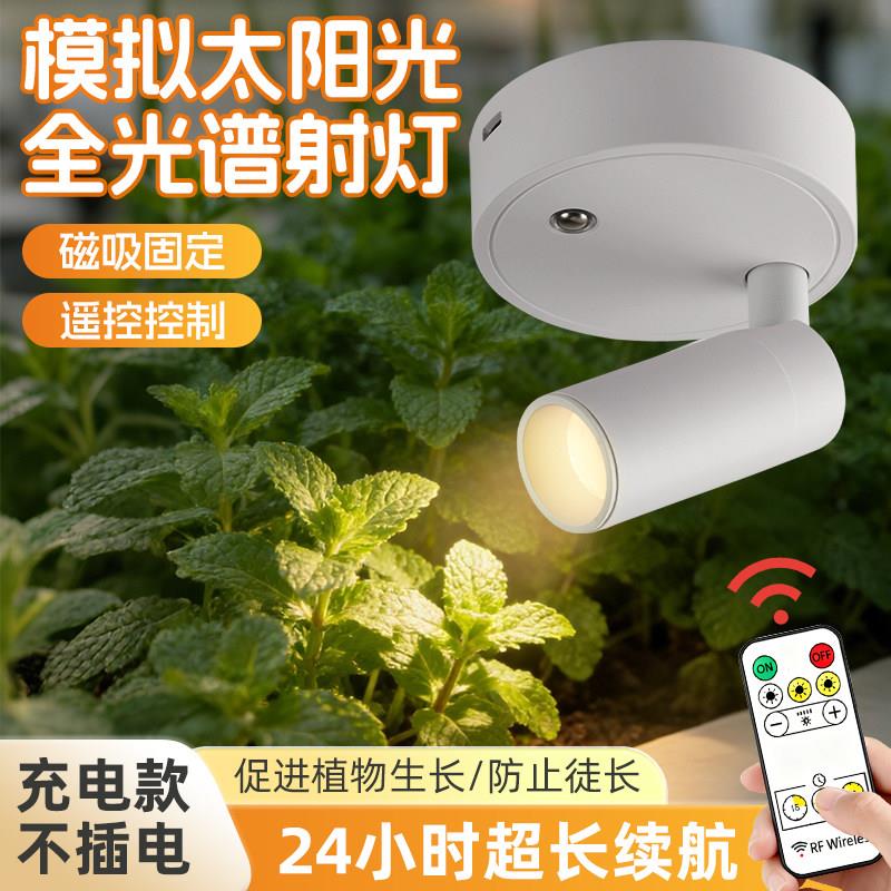 全光谱模拟太阳光灯室内植物绿植补光专用充电款式不插电生长射灯图片