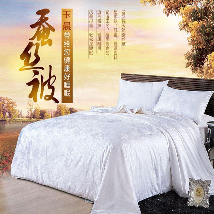 2U8K拉链款蚕丝被内被胆套纯棉婚套单F75SMT7M庆纱布套棉胎套件双