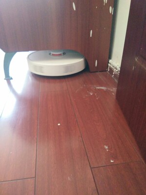 大家爆料石头T61RR扫地机器人怎么样呢?质量到底差不差?