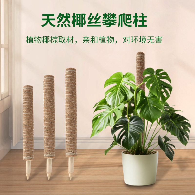 椰棕绿萝龟背植物园艺用品套装