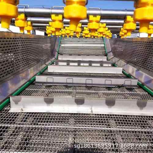 花生气泡清洗机大枣黄瓜辣椒香瓜喷淋式清洗设备山野菜清洗线