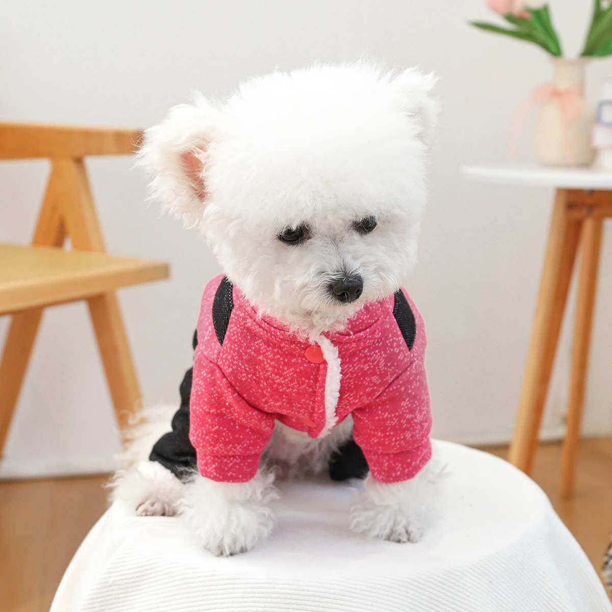 PTECIRCLE宠物圈【现货厂家直供】狗狗猫咪服装服饰抱抱熊四脚棉,宠物/宠物食品及用品,狗宠物服装/雨衣,淘宝优惠券,粉丝福利购,淘宝优惠卷