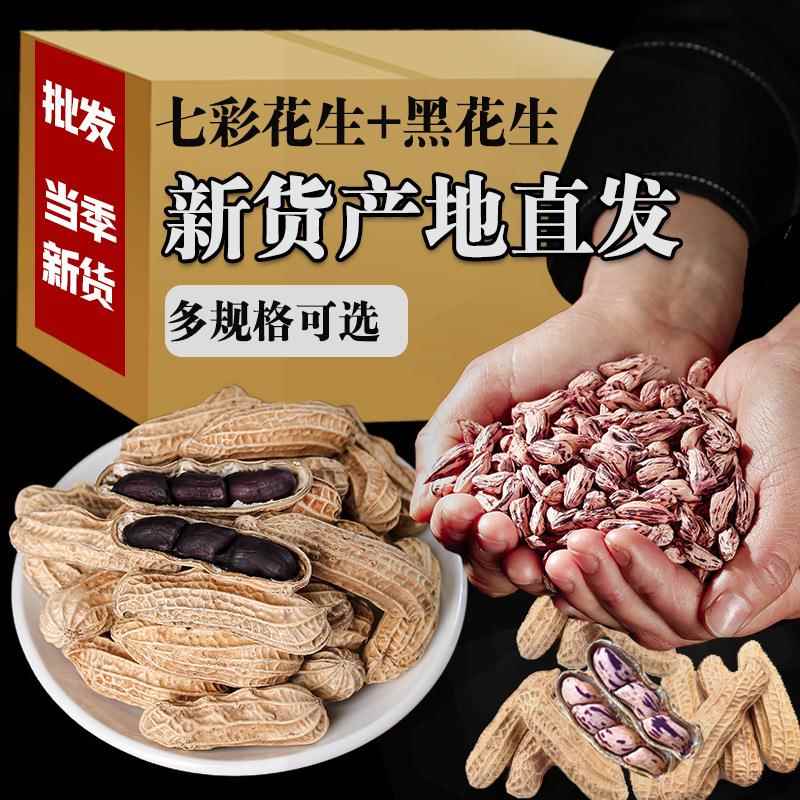 云南本地花生 七彩花生 黑花生花生米原味炒熟生花生可选源头直供