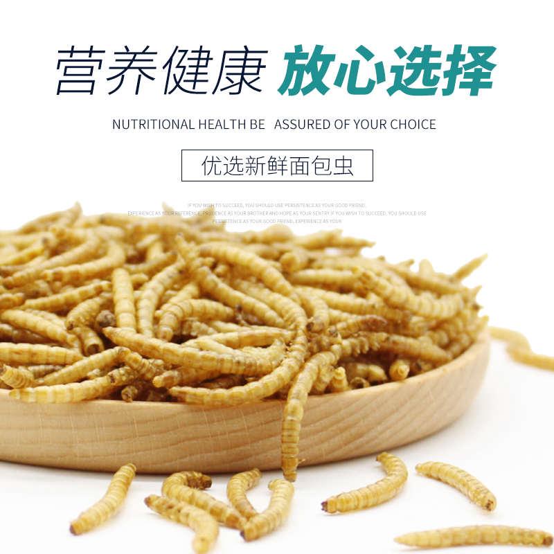 面包虫干鸟粮八哥饲料鸟食鹩哥食物画眉鸟粮零食仓鼠粮鱼粮龟粮
