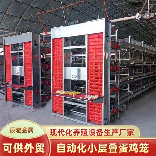 镀锌层叠蛋鸡养殖笼自动清粪H型式蛋鸡笼中小型养殖3层4层养鸡笼