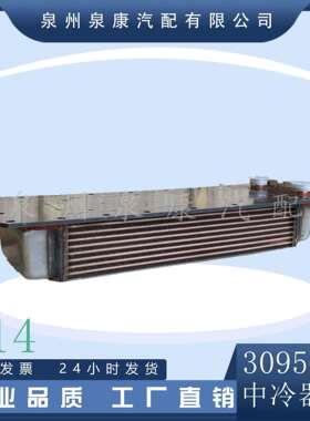 重庆发动机NT855N14发动机配件中冷器芯31025923095644