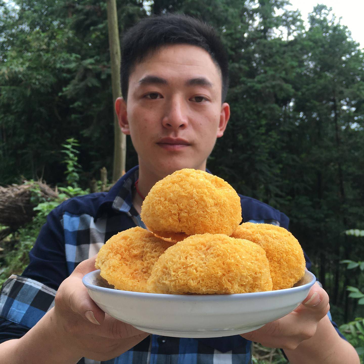 莲子羹农家丑耳古田银耳新鲜干货250g无熏硫雪耳糯白木耳非莲