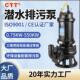 污 立式 国标置重型工程款 潜水泵排污ISW泵污污水合物潜水电泵耦装