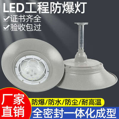 led防爆灯工矿灯100W防水防尘防腐吊灯厂房车间三防灯200W隔爆灯