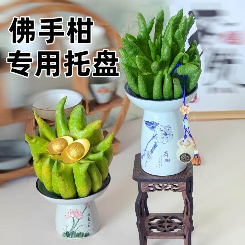佛手柑专用托盘古风禅意青花瓷蝴蝶兰多肉容器盆观赏佛手瓜摆放盘