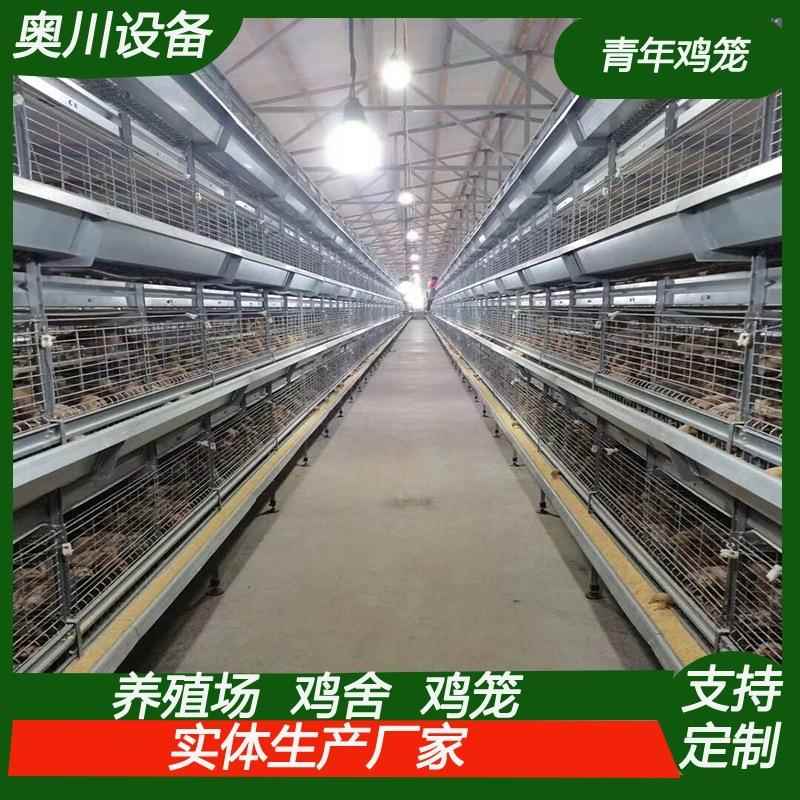 青年鸡全自动框架养鸡笼鸡舍养鸡场层叠式育雏设备四层育雏鸡笼
