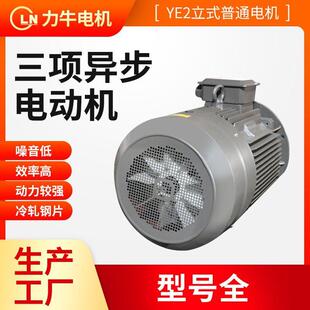 15三相异步电动机立式 直供全铜线电机YE2 160M 三相电机 卧式