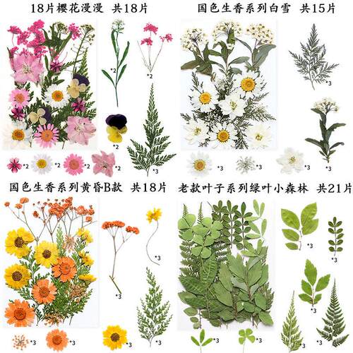 儿童天然压花干花材料包手工DIY花卉叶子系列手工树叶画押花书签