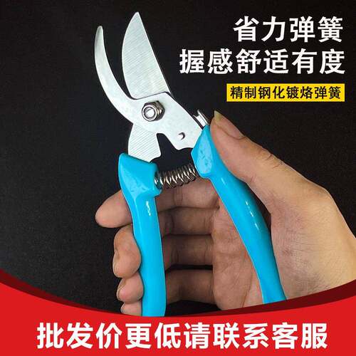 园林花剪园艺剪刀修枝摘果剪强力剪子不锈钢修枝剪多功能园林工具
