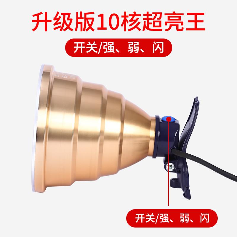 12V头灯led强光大光圈散光抓鱼蚂蝗灯聚光钓鱼灯黄光夹电瓶外接灯