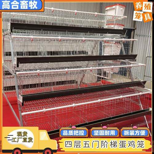 A型蛋鸡笼阶梯型四层五门蛋鸡笼养殖工厂大鸡笼热镀锌可供外贸