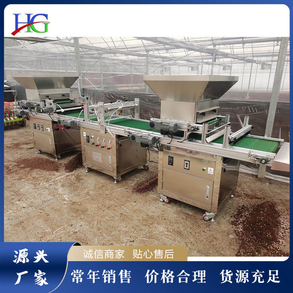 卧式育苗播种机全自动大棚果蔬点播机农用电动铺土压穴播种一体机