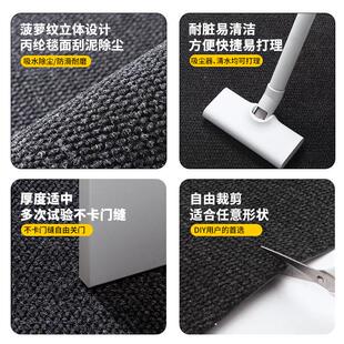 菠萝纹地垫别墅入户门地垫酒店商场公司电梯口大门室外防滑地毯垫