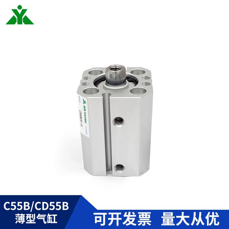 CD55BCD55B20-C55B20-10-20-25-30-40-50-60-80-100M气缸C55L