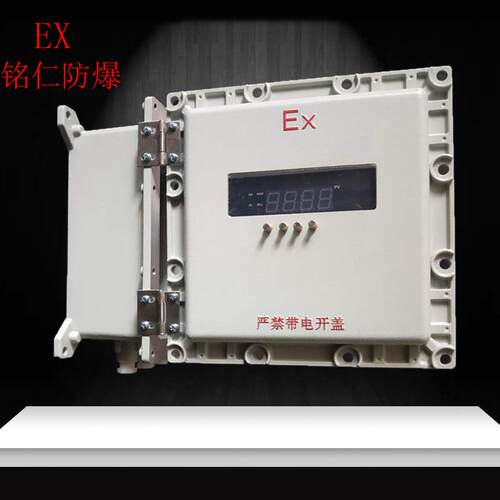 防爆仪表箱400*500防爆温控仪防爆PH计防爆接线开关控制箱配电柜