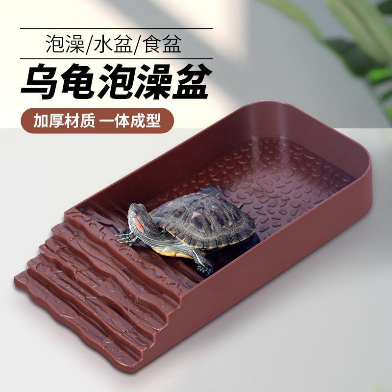 阶梯式乌龟澡盆其它水族用具设备