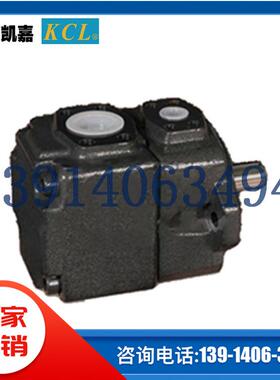 VQ25-18/22/26/32/38/43/47/52-F-RAA-01/02台湾KCL凯嘉叶片泵DVQ