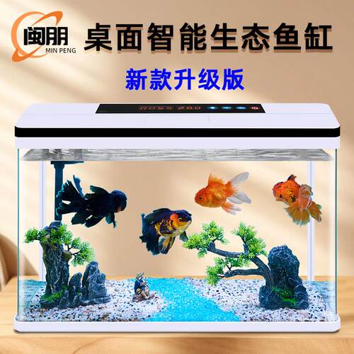 2025新款客厅鱼缸过滤制氧All小型家用办公室桌面生态玻璃缸