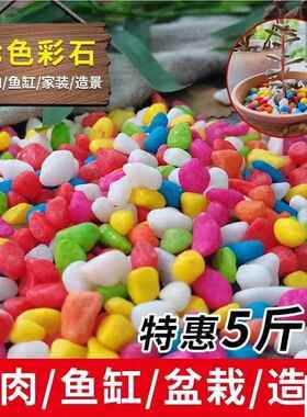高颜值小石头鱼缸石头花盆彩色石子七彩小石头五彩石造景小石子