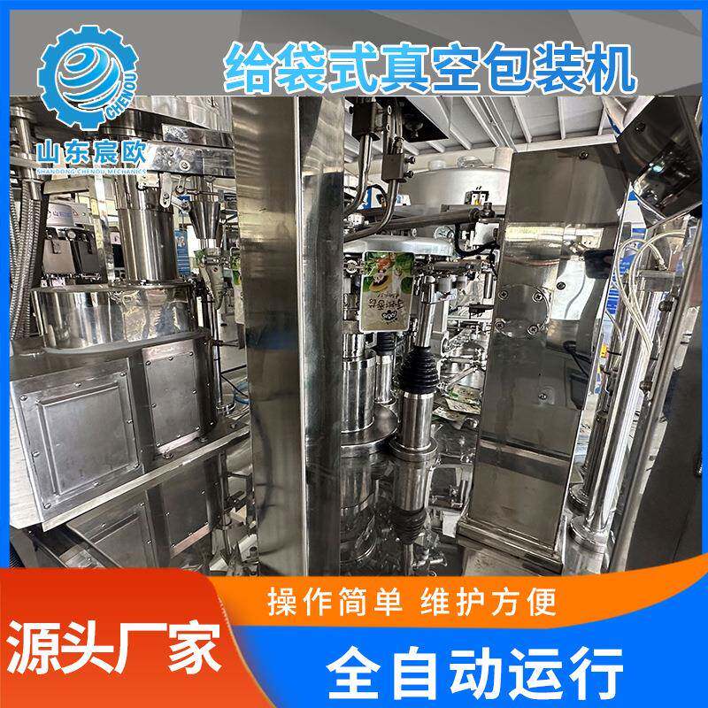 全自动姜片包装机海参生蚝包装设备给袋式玉米真空包装机