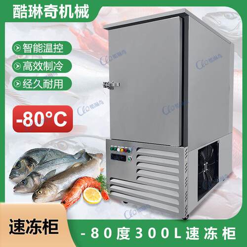 急速冷冻薯条饭团速冻机食品迅速锁鲜持久保鲜快速冷冻工业速冻柜