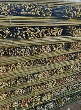 菜架竹竿竹子搭架农用爬藤架菜园细竹竿角架LIX篱笆栅豆栏生态种