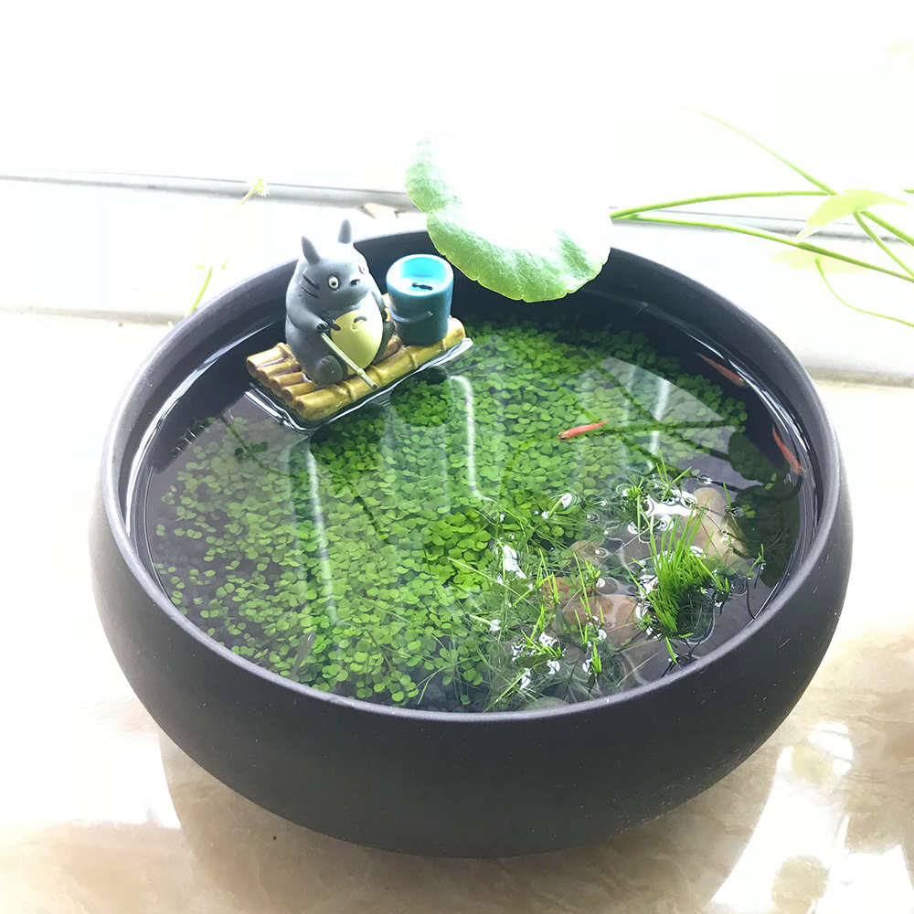 微景观龙猫钓鱼办公桌客厅鱼缸紫砂陶瓷植物水草浮萍diy创意盆栽